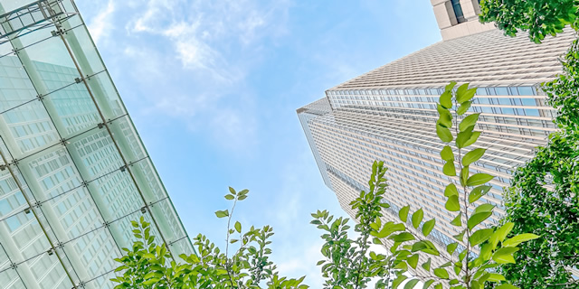 建設業許可申請